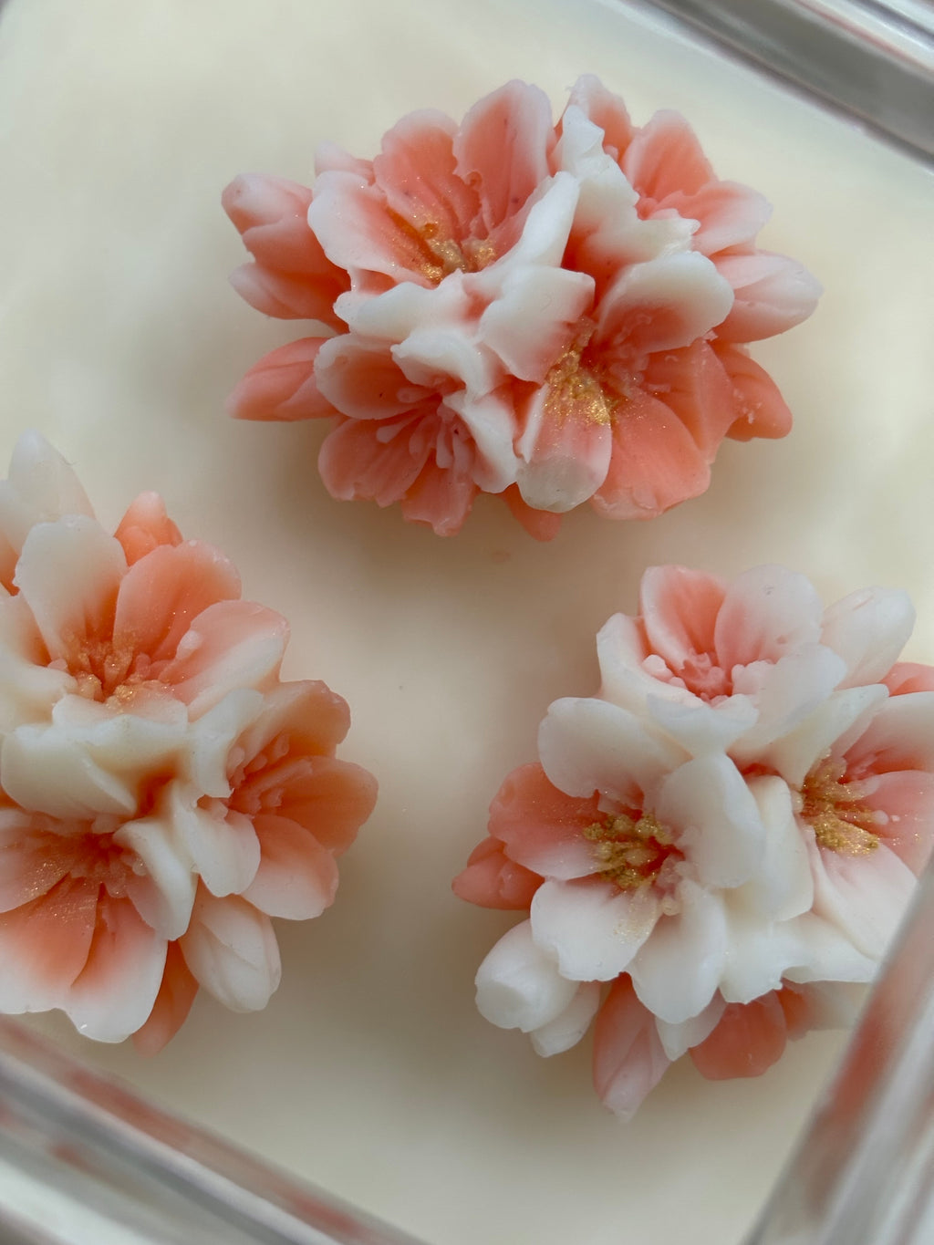 Contenitore in vetro con fiori di ciliegio