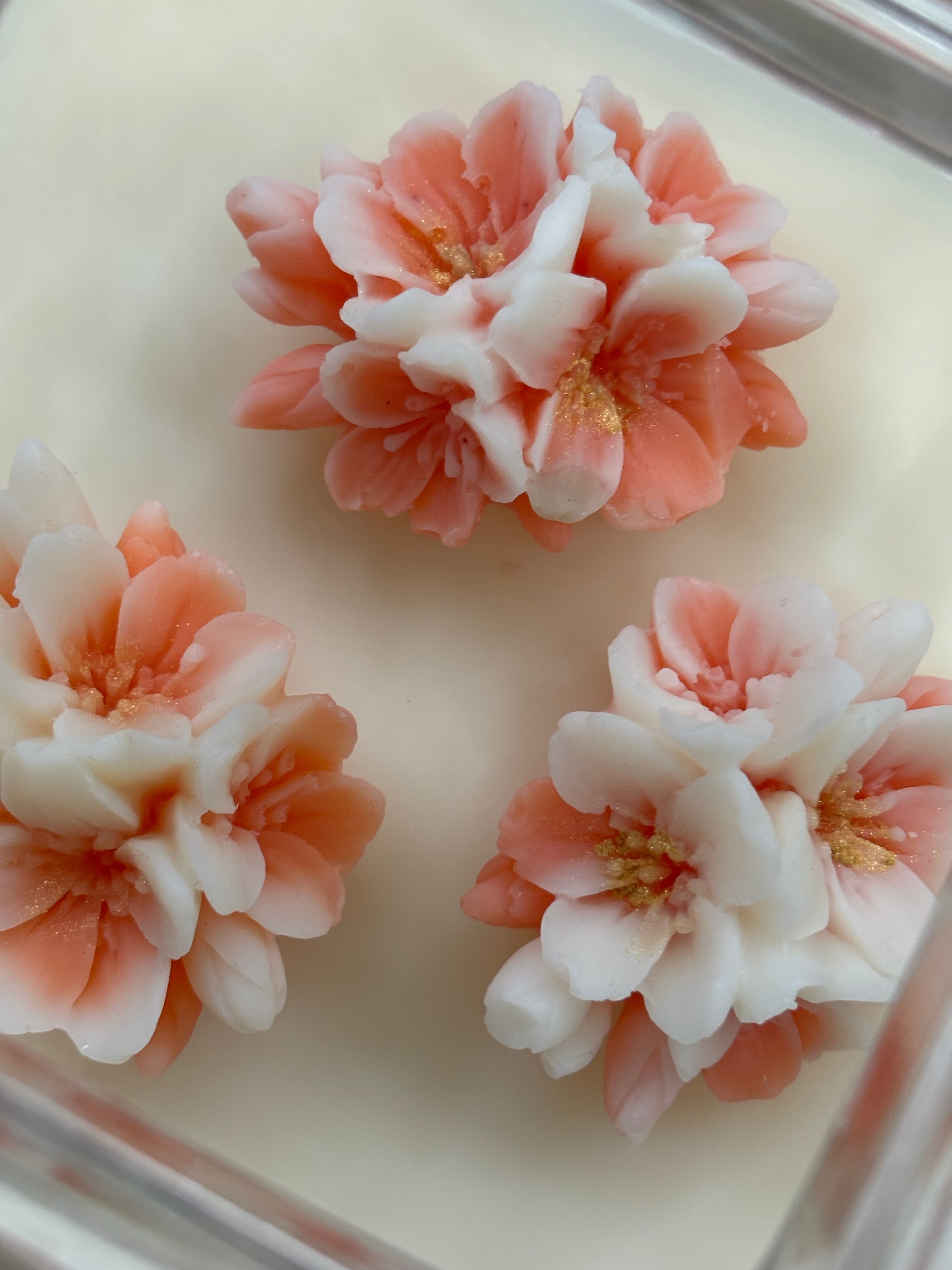 Contenitore in vetro con fiori di ciliegio